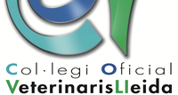 Beques per fer formacions a l’abast de tots els col·legiats i col·legiades 
