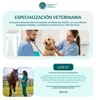 Jornada al COVLL sobre el projecte d'especialització veterinària del Consejo