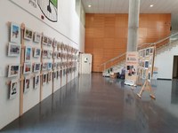 Lleida, acull  la mostra itinerant de fotografies del 8è Concurs de Fotografia “La Meva Mascota” 